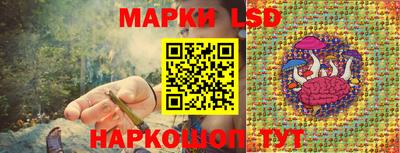 стафф Коммунар