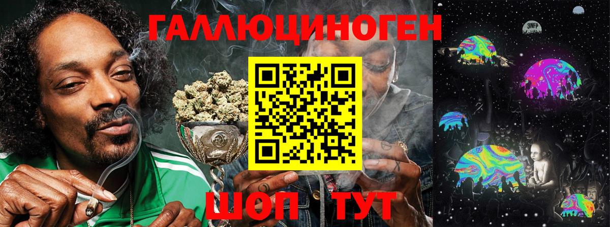 Мытищи  Галлюциногенные грибы Psilocybine cubensis  Псилоцибиновые грибы прущие грибы  Вход с VPN 